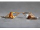 Kolczyki z drewna i żywicy - Diamentowe romby z topoli 