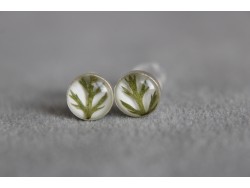 Kolczyki sztyfty - Okrągłe z zielonym listkiem (Srebro)